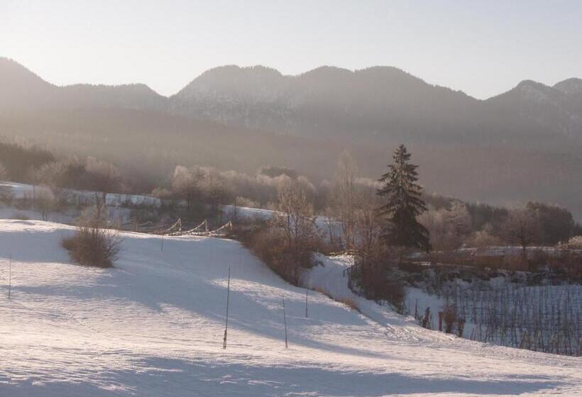 חדר קלאסי לשלושה, La Capannina