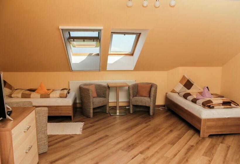 חדר דלוקס לשלושה, Synergy House