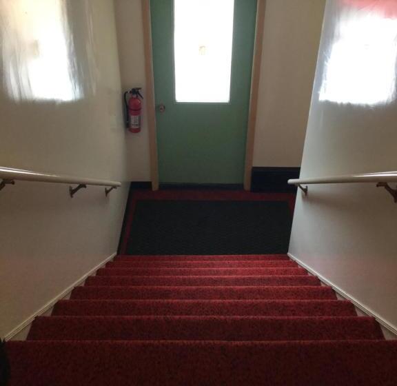 豪华三人间, Cedars Motel