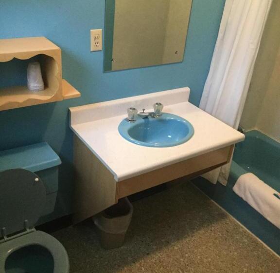 带大床的套房, Cedars Motel