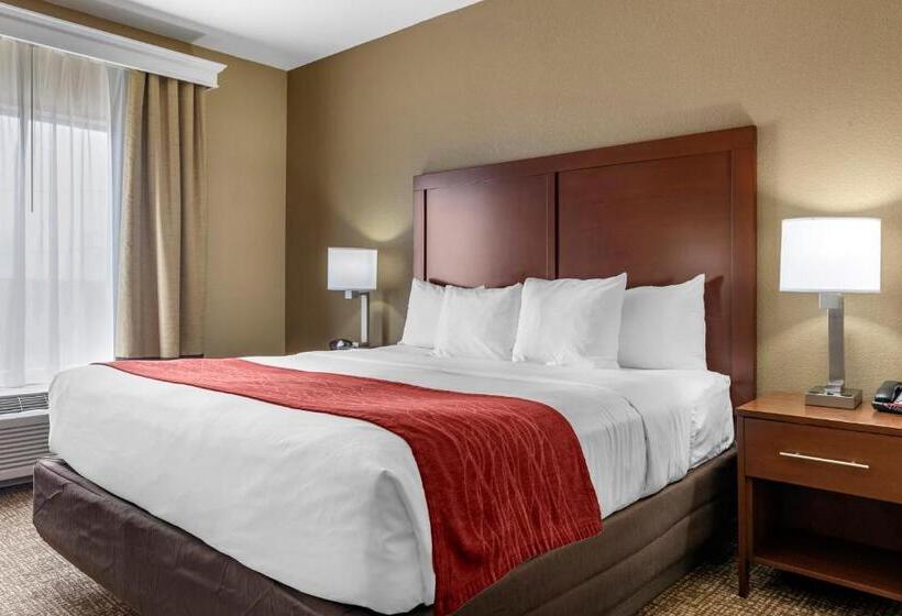 جناح سرير كينج, Comfort Inn & Suites Augusta