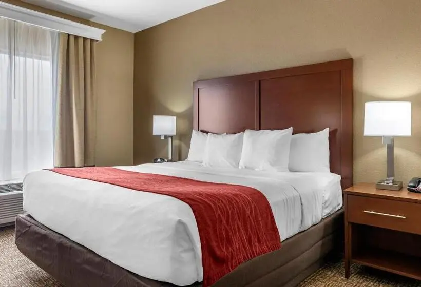 Sviitti King-vuode, Comfort Inn & Suites Augusta