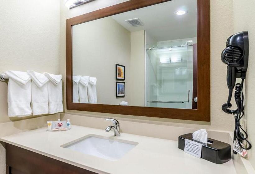 غرفة قياسية سرير كينج, Comfort Inn & Suites Augusta