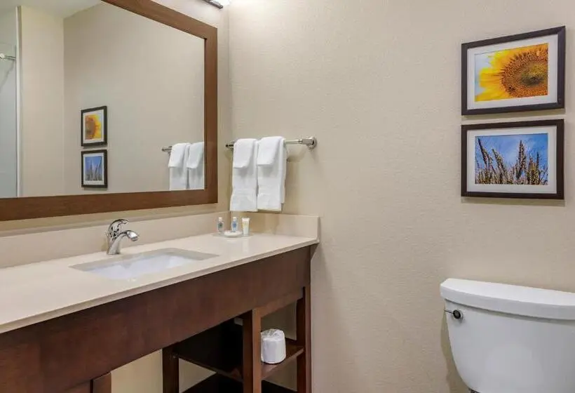 Standard-huone King-vuode, Comfort Inn & Suites Augusta