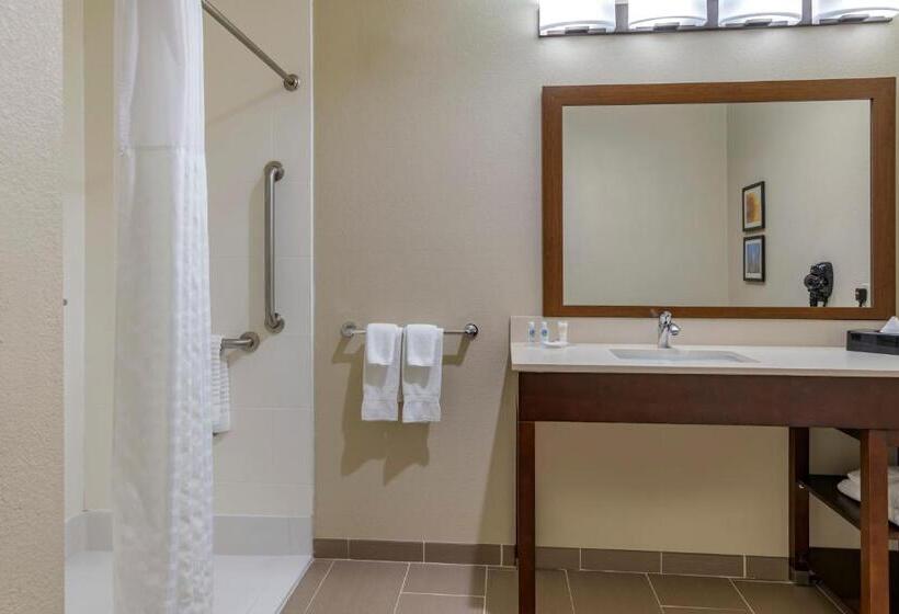 غرفة قياسية سرير كينج لذوى الإحتياجات الخاصة, Comfort Inn & Suites Augusta