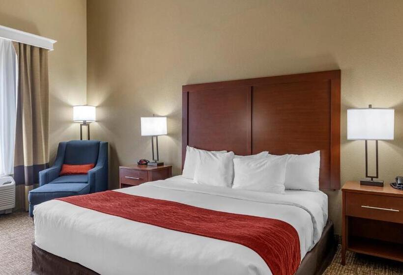 غرفة قياسية سرير كينج لذوى الإحتياجات الخاصة, Comfort Inn & Suites Augusta
