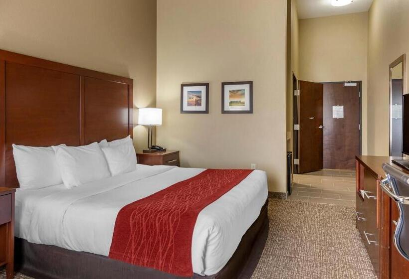 غرفة قياسية سرير كينج لذوى الإحتياجات الخاصة, Comfort Inn & Suites Augusta
