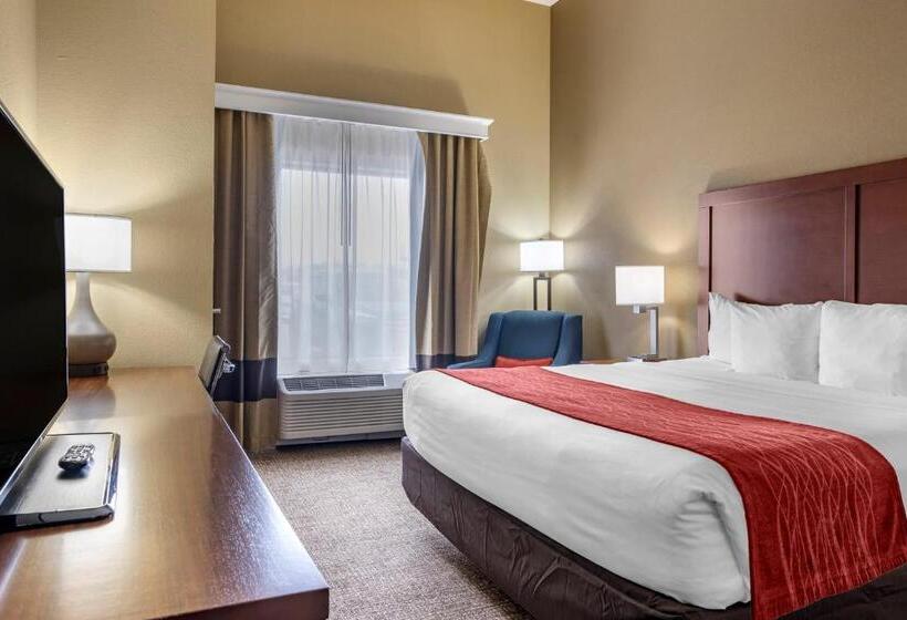 غرفة قياسية سرير كينج لذوى الإحتياجات الخاصة, Comfort Inn & Suites Augusta