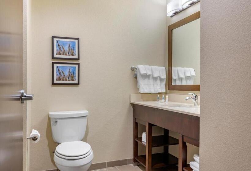 غرفة قياسية لذوى الاحتياجات الخاصة, Comfort Inn & Suites Augusta