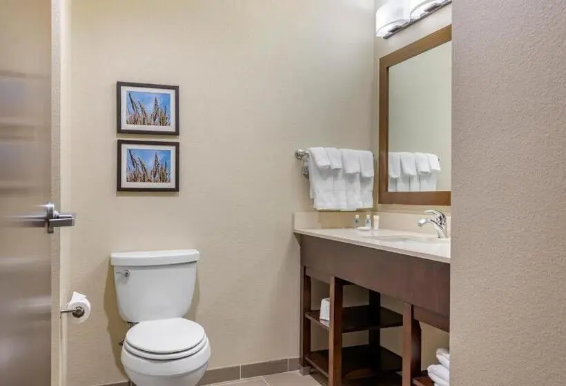 Standard-invahuone, Comfort Inn & Suites Augusta