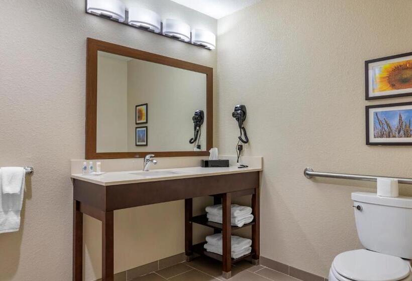 غرفة قياسية لذوى الاحتياجات الخاصة, Comfort Inn & Suites Augusta