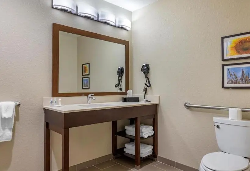 Standard-invahuone, Comfort Inn & Suites Augusta