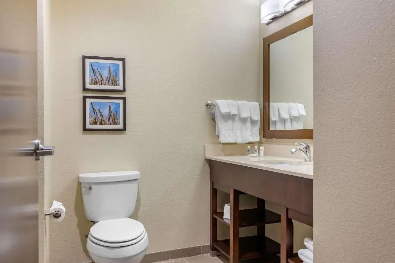 Sviitti King-vuode, Comfort Inn & Suites Augusta
