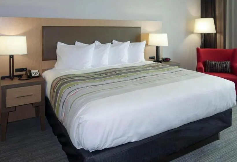キングサイズベッドのスタンダードルーム, Country Inn & Suites By Radisson, New Braunfels, Tx