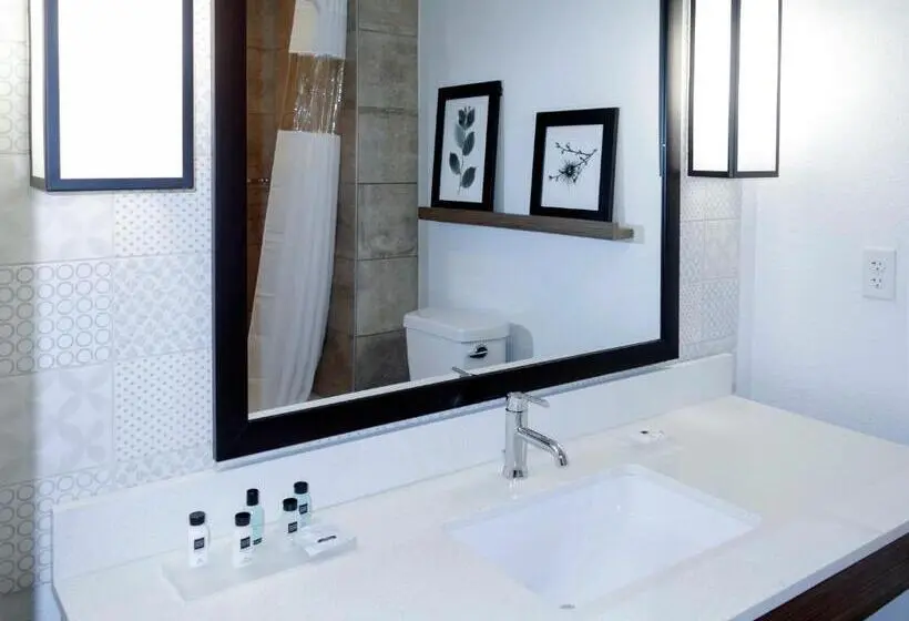身障者適用スタンダードルーム, Country Inn & Suites By Radisson, New Braunfels, Tx