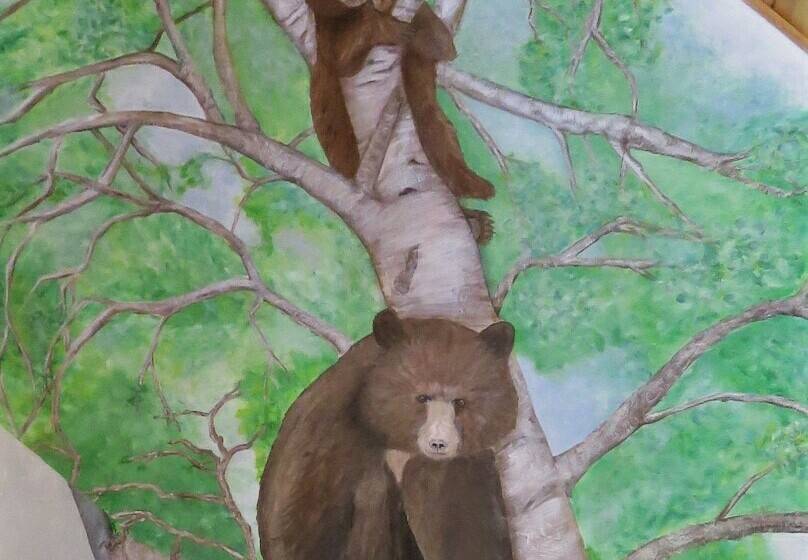 חדר סופריור לשלושה, The Hideaway Lodge