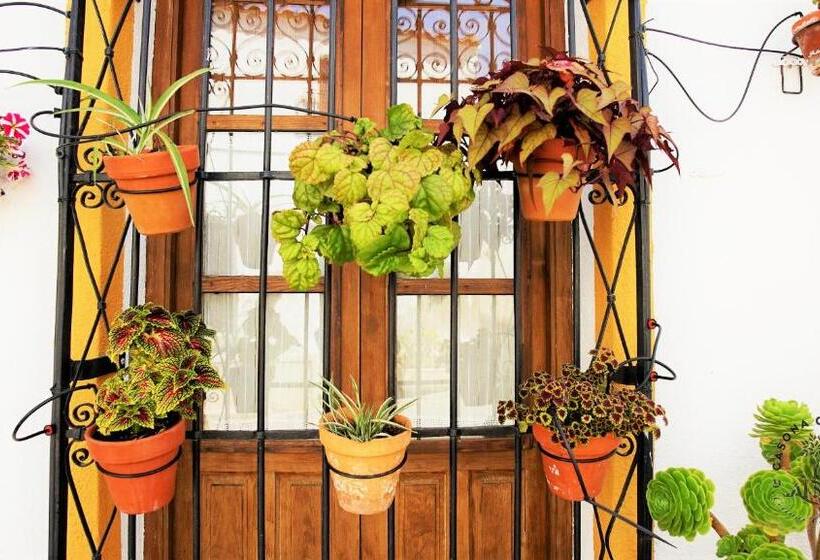 غرفة سوبيريور, Casona Granado