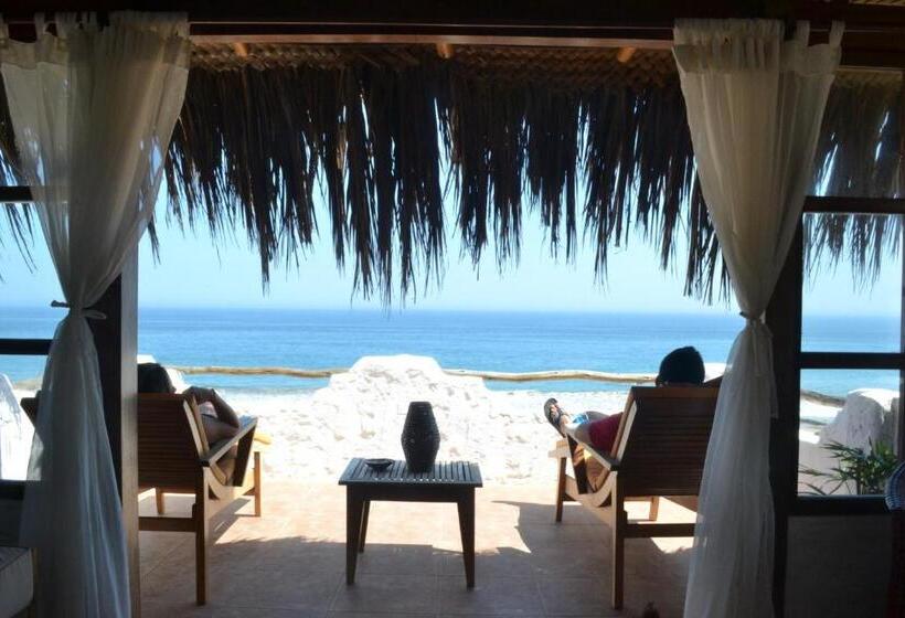 سوییت جونیور با چشمانداز دریا, Smiling Crab