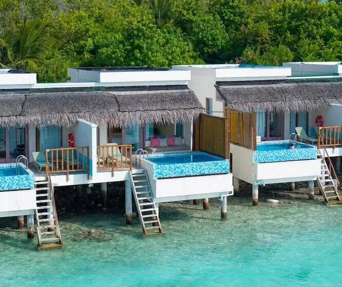 ویلای یک اتاق خوابه با استخر شنا, Oblu Nature Helengeli - All inclusive