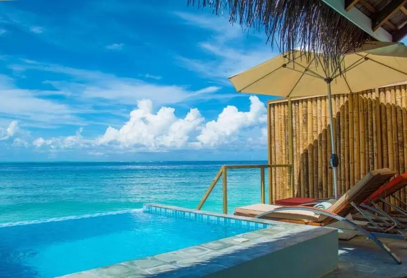 プール付き1ベッドルームヴィラ, Oblu Nature Helengeliallinclusive With Free Transfers