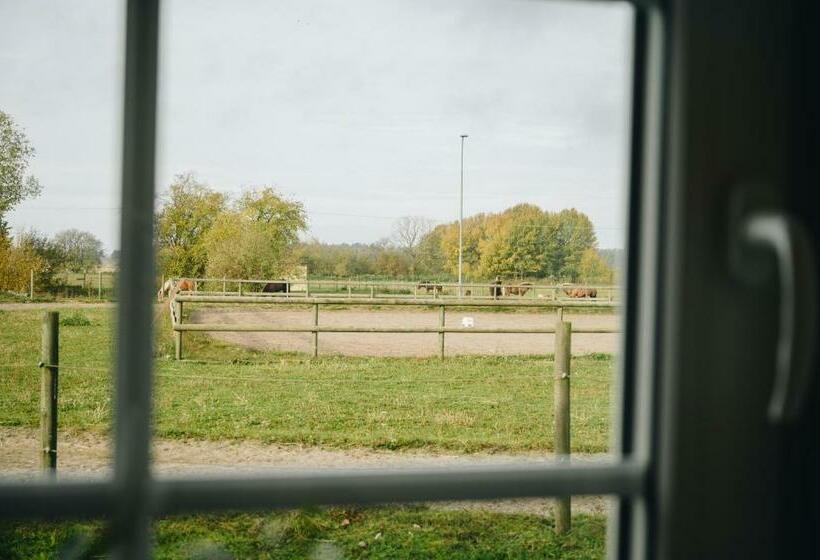 غرفة قياسية, ölands Yoga Studio & Islandshästar, Stugor & Rum