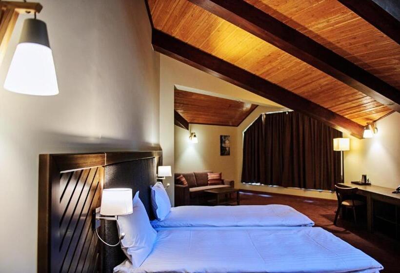 주니어 스위트, Hot Springs Medical And Spa