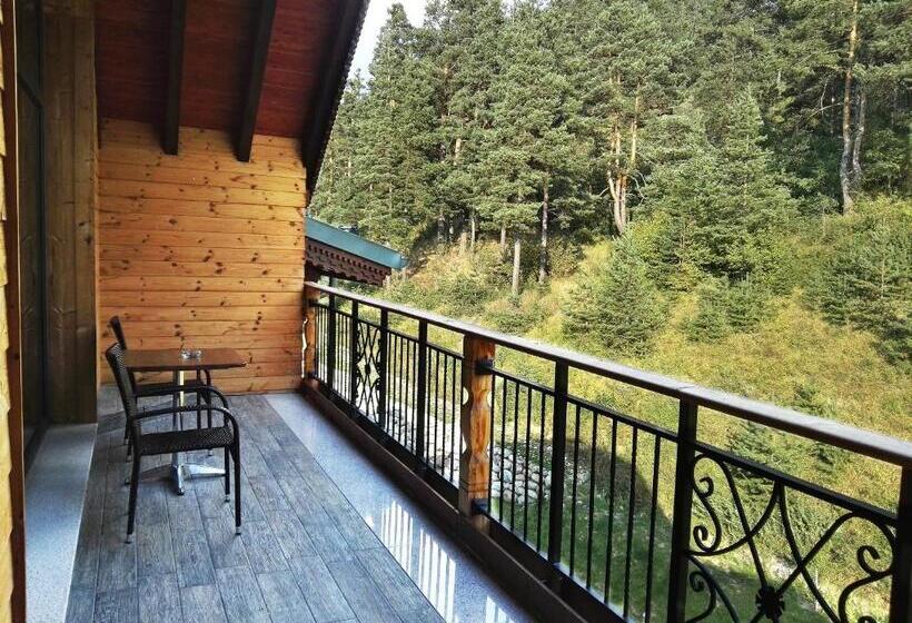 스탠다드 스튜디오, Hot Springs Medical And Spa