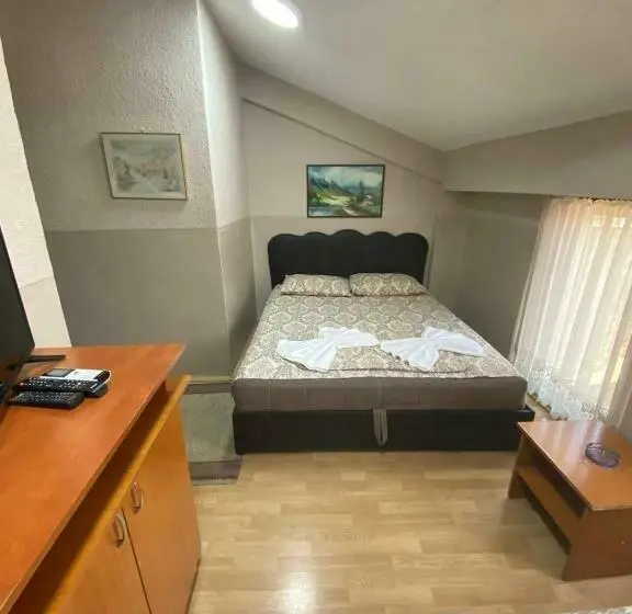 اتاق استاندارد, Santos