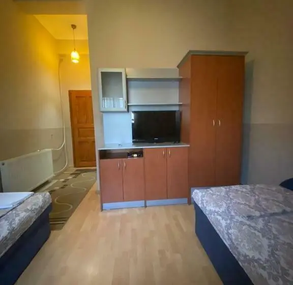 اتاق استاندارد, Santos