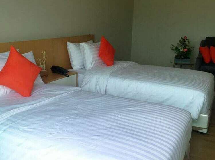 高级大房间, Sleeping Tree