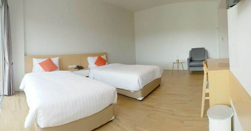 高级大房间, Sleeping Tree