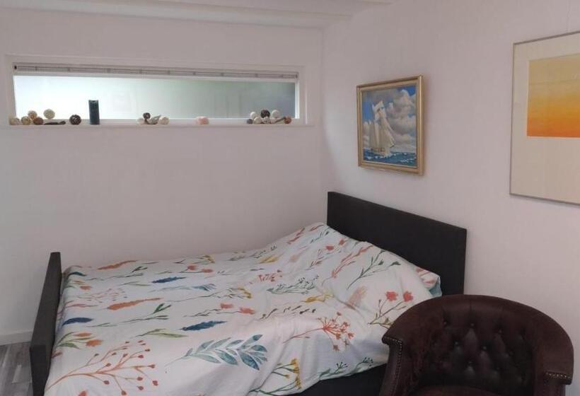 Номер Стандарт, Studio Bergen