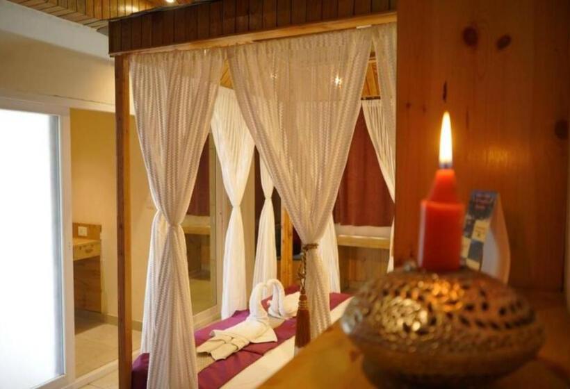 Номер Superior Кровать Кинг, Goroomgo Hotel Gandhi S Paradise Dharamshala