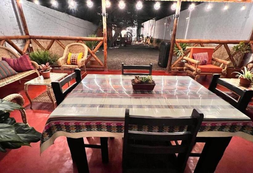 غرفة قياسية, Miranda S House