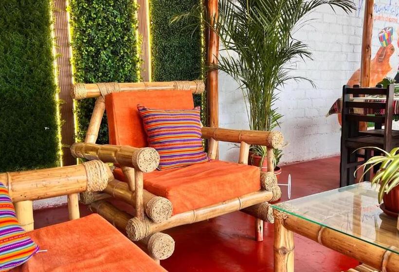 غرفة قياسية, Miranda S House