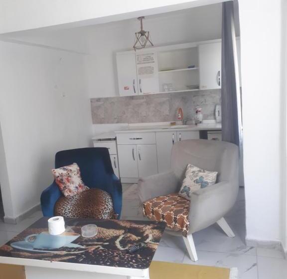 带双人床的标准工作室, Samsun Merkezde Gunluk Apart