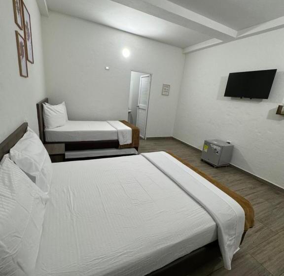 4인용 스탠다드 룸, Fenix