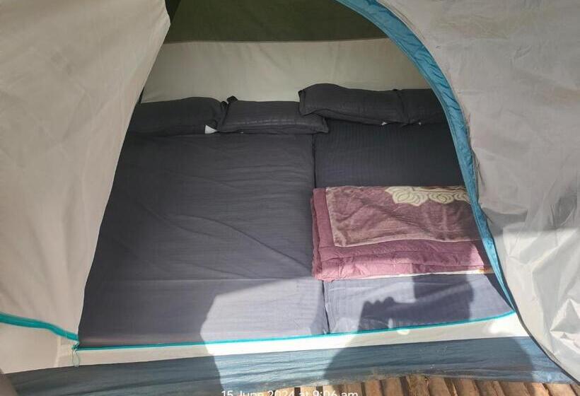 Standard Tent, Hazy Mount Vattavada