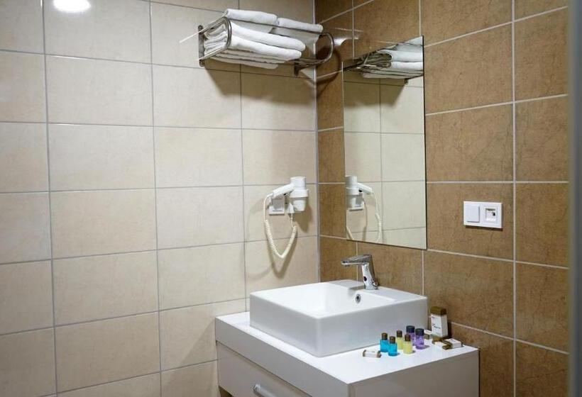 标准单人间, Shelby