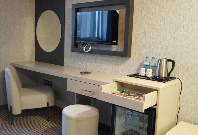 标准单人间, Shelby