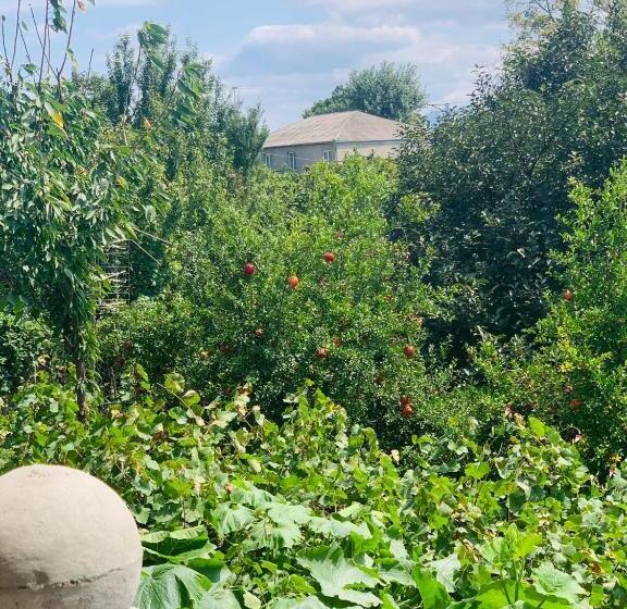 اتاق استاندارد با چشمانداز باغ, Uplistsikhe Guest Paluma