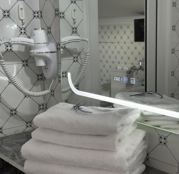 اتاق اکونومی, The Oldman House