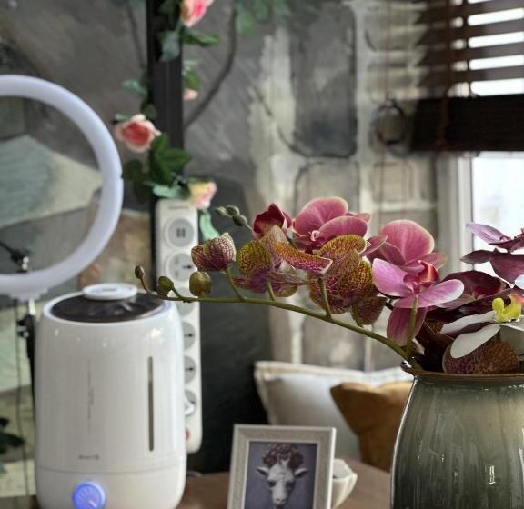 اتاق اکونومی, The Oldman House