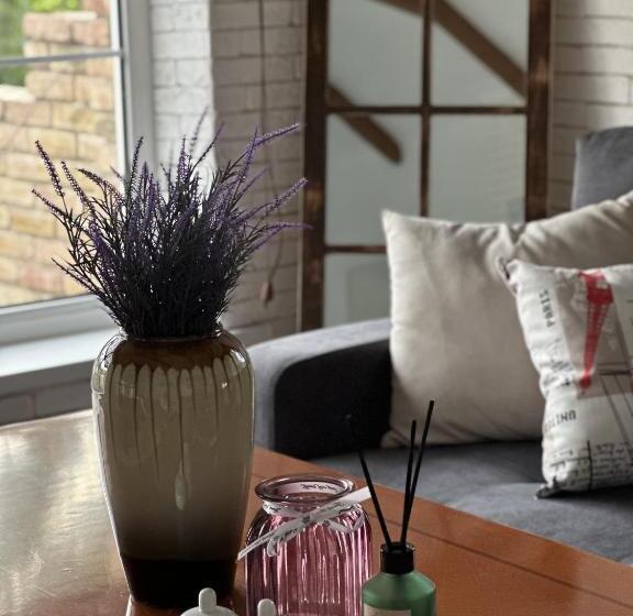 اتاق اکونومی, The Oldman House