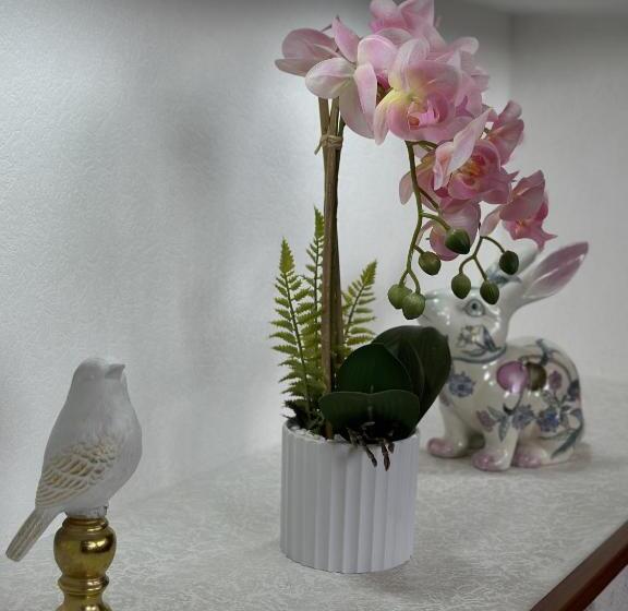 اتاق لوکس چهار تخته, The Oldman House