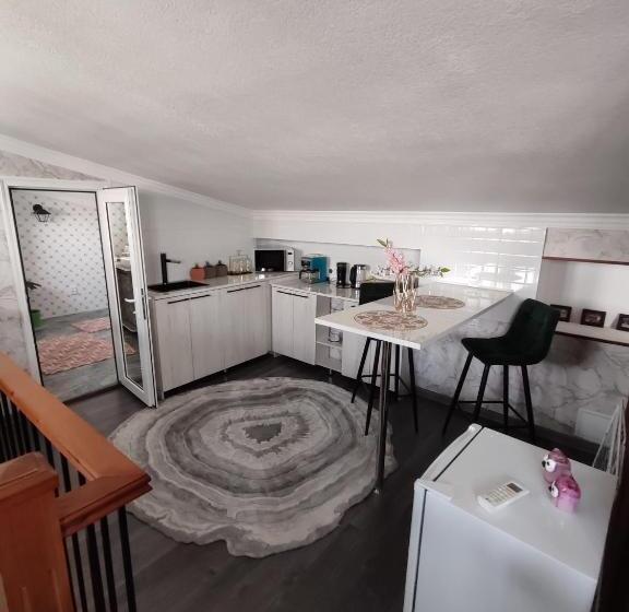 اتاق لوکس چهار تخته, The Oldman House