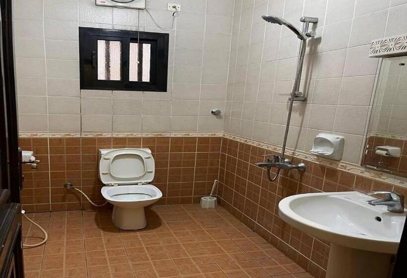 Студия Стандарт, السارية