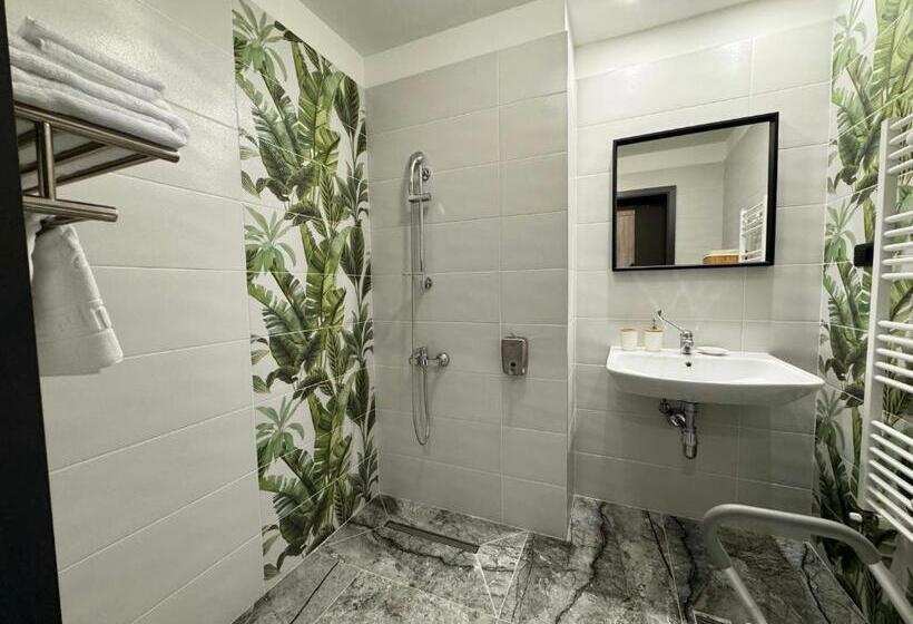 غرفة قياسية لذوى الاحتياجات الخاصة, Ambar