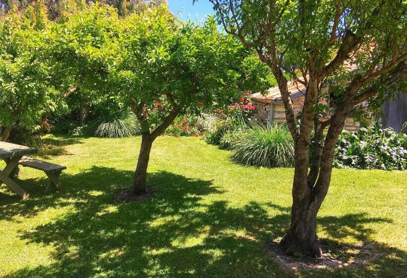 منزل غرفة نوم واحدة, Cherry Plum Cottages