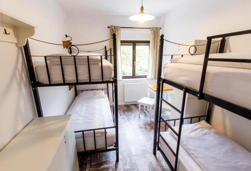 اتاق استاندارد چهارنفره با سرویس بهداشتی مشترک, Hostel Hildegarden